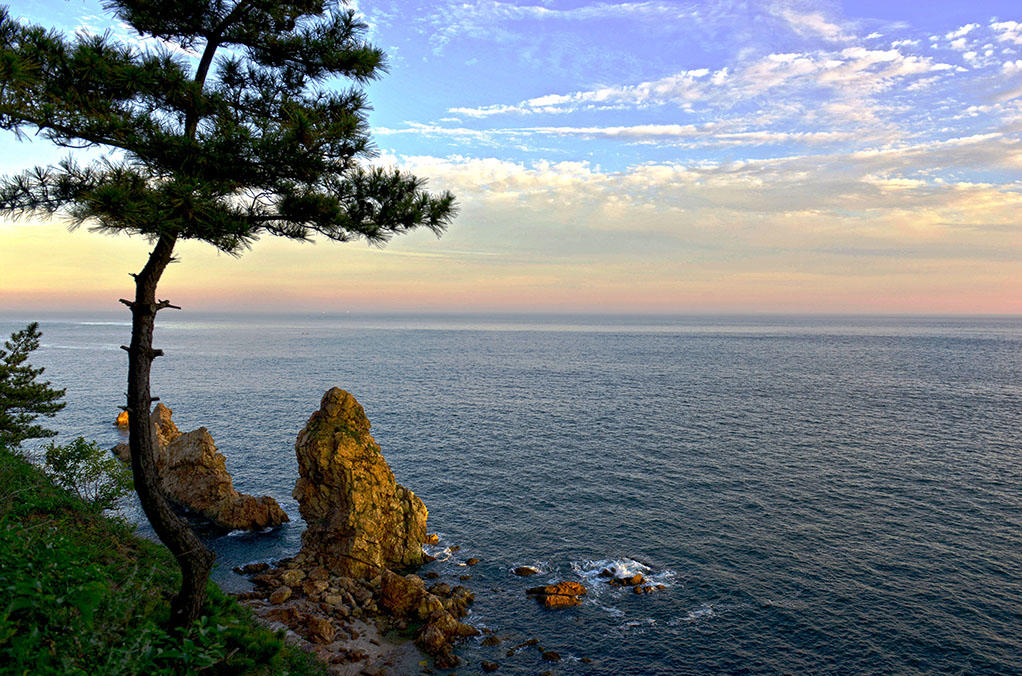 大连燕窝岭景区介绍,如何去大连燕窝岭旅游攻略