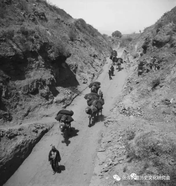 刘振瑛|张库大道系列讲座之十二：圐圙碎语