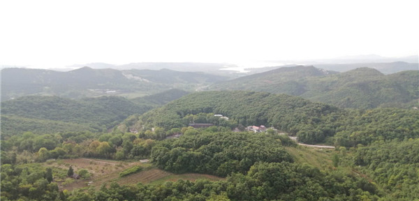 河南南阳好春光,南阳香严寺航拍