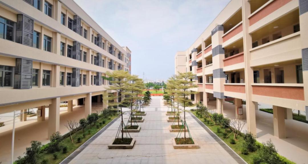 1620个学位！珠海这个区规模最大的小学建成！学区划分出炉...