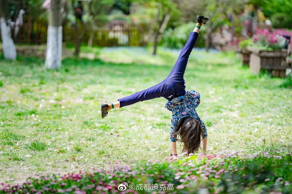 成都一日游打卡必备,成都网红打卡景点一日游