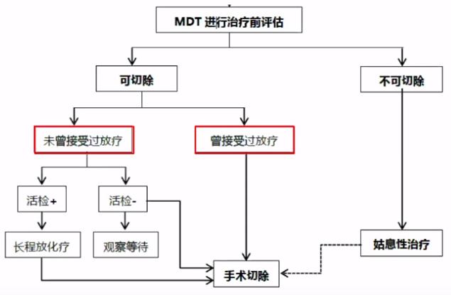 csco结直肠癌指南最新版,csco结直肠癌早期指南
