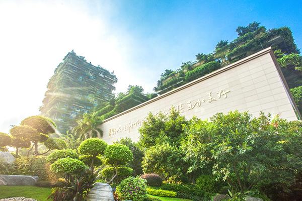 碧桂园整合营销招聘,碧桂园招采平台