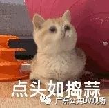 发了几条朋友圈赔80万,发了几条朋友圈被判赔80万元