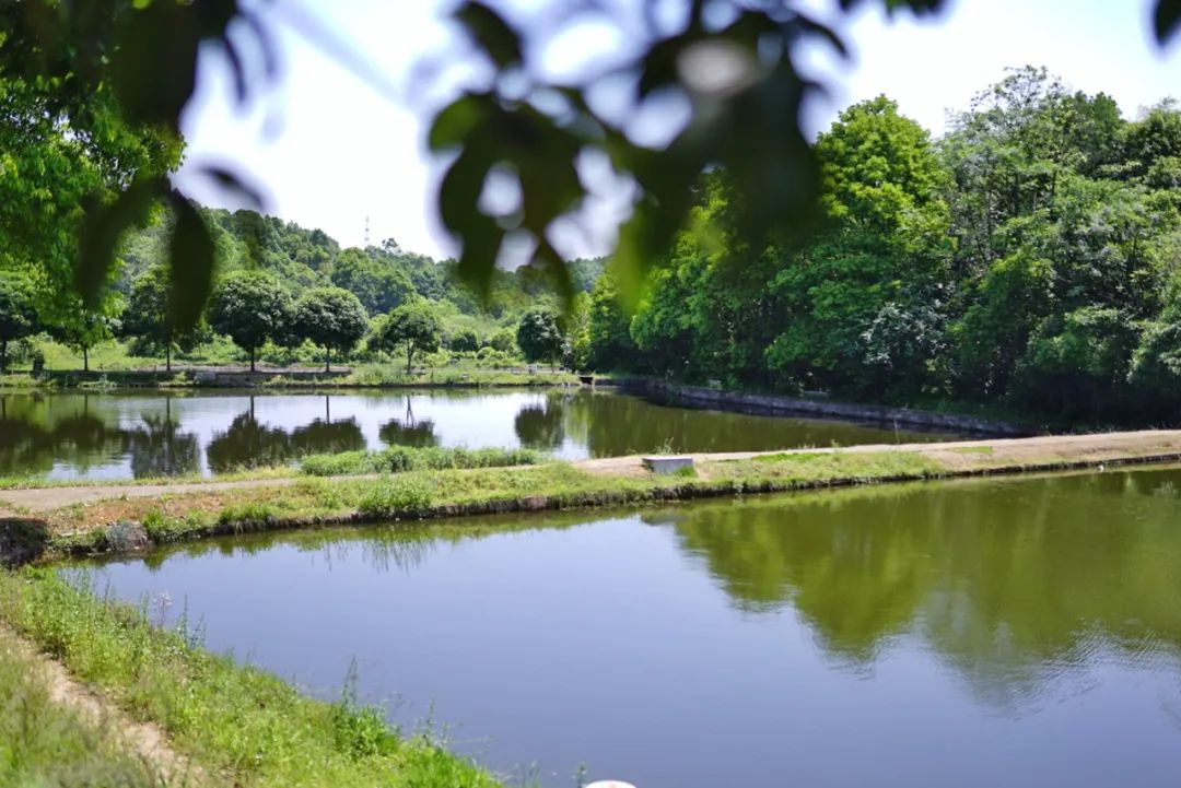 长沙周边踏春游玩最好去处,五一来长沙这些地方让你玩个够