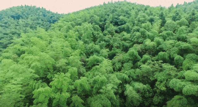 以案释法为什么赢了官司还被罚,以案释法守法经营