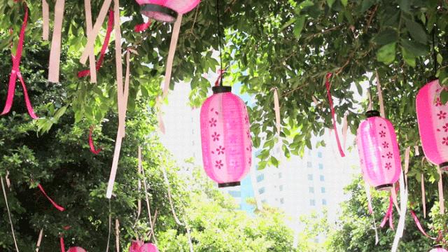 五一打卡超大的油菜花田,五一打卡家门口的花海