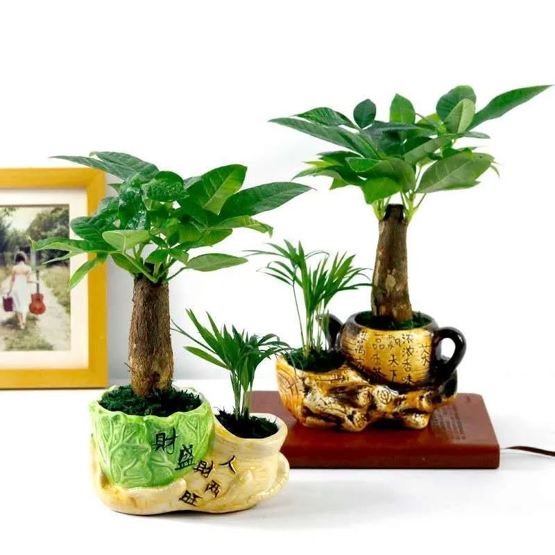 花漾直播丨必买好货来了！花都五一大型直播优惠活动预告~