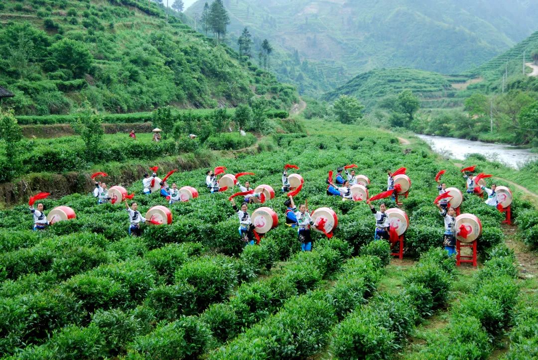 “气候好产品”第三弹：舌尖上的气候密码