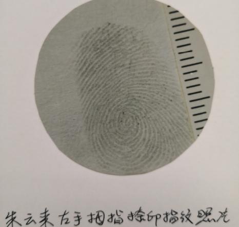 【品案】“黑豹”罪行罄竹难书人民审判终施极刑