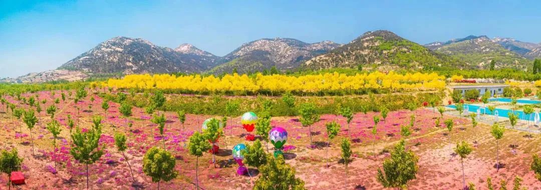 五一去哪里玩国家a级景区,五一热门景区和冷门景区