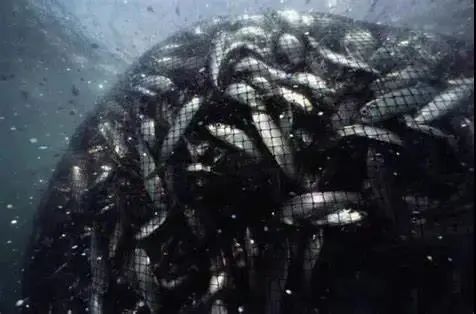 2019年中国十大法治事件发布,第九届中国公益奖项