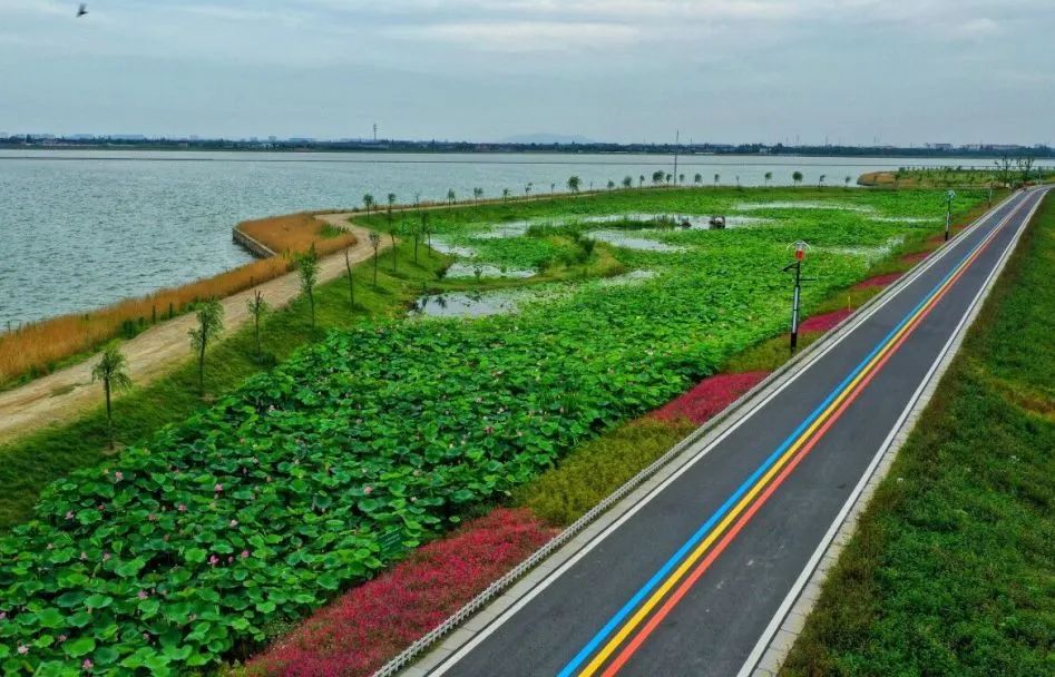 健身步道最新视频,健身走起跟着节奏嗨起来