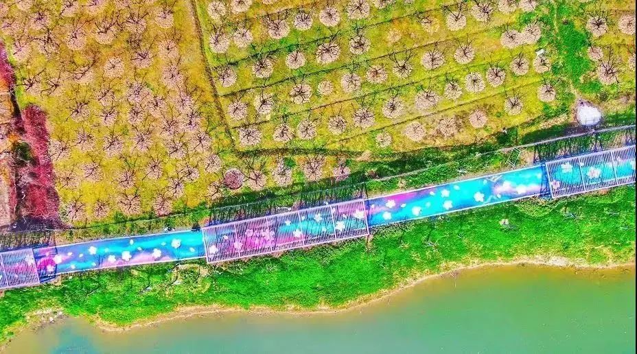 康道健身步道,健身步道起始站