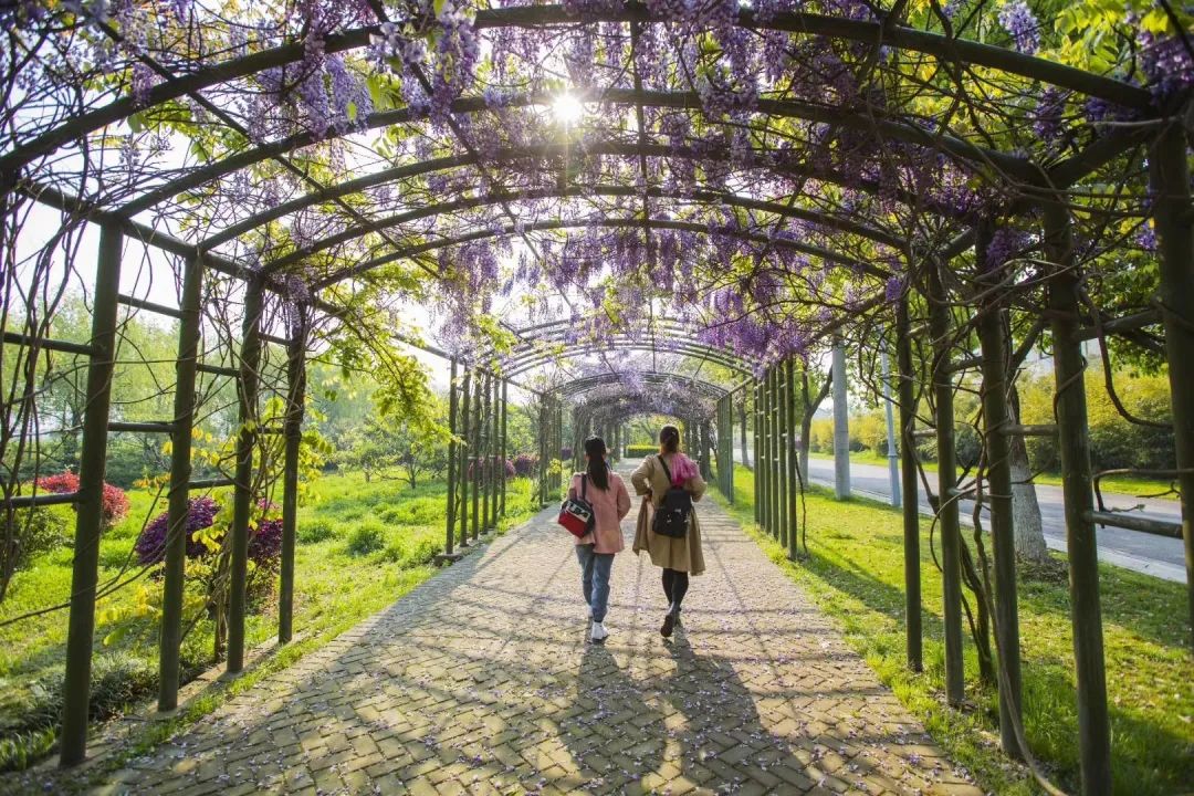 康道健身步道,健身步道起始站
