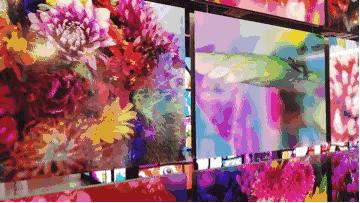 日本在世当代艺术家,日本当代艺术家太阳花