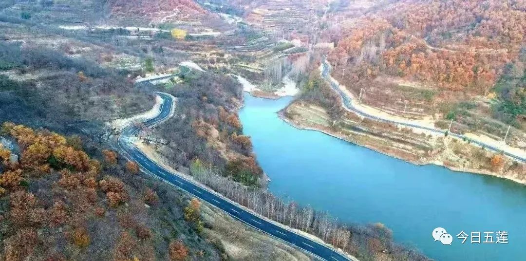 樱桃熟了五一好去处,采摘樱桃好去处五莲