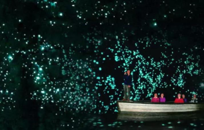 杭州最新打卡网红景点,杭州市区打卡网红景点