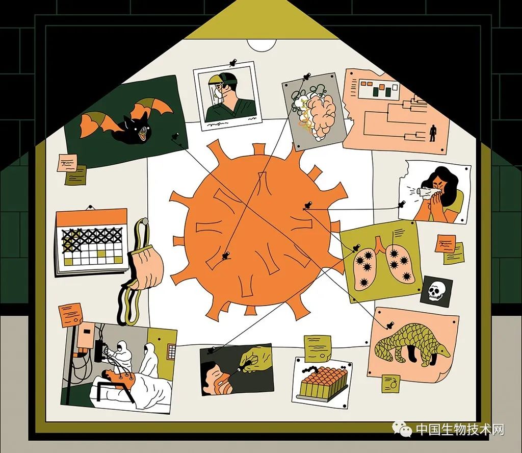 解读最新新冠病毒,nature关于新冠的文章名字