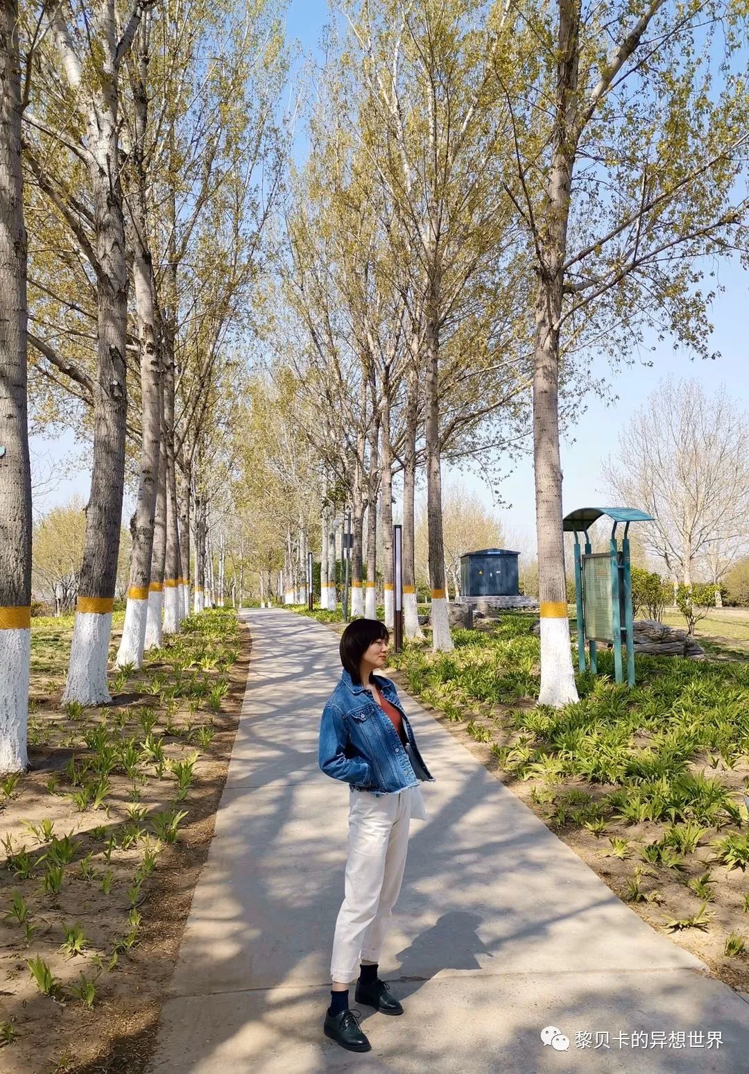 大牌贝壳包正品,性价比高的贝壳包