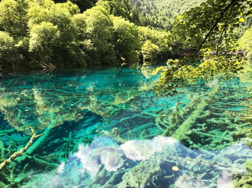 卫星图上的九寨沟,九寨沟全景解说