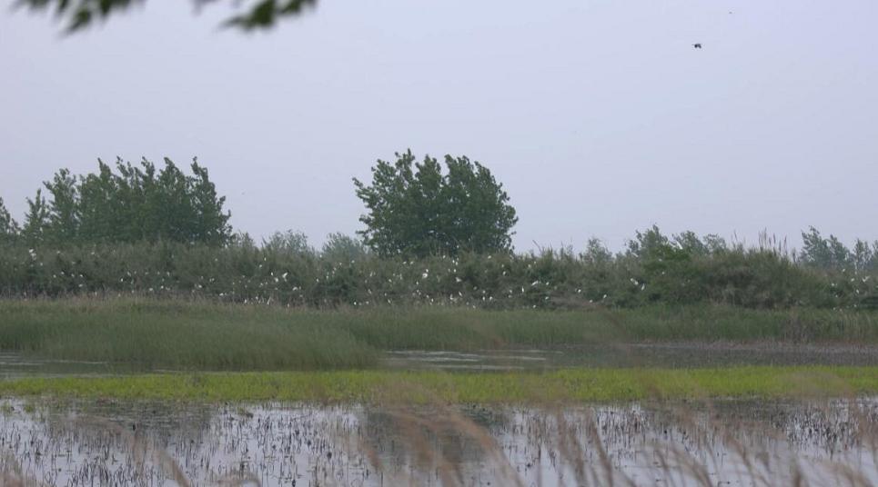 泗洪中考那些事,今日泗洪县大小事