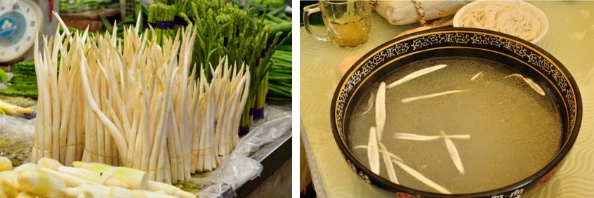 植物大战僵尸盘点那些奇葩的植物,植物大战僵尸最诡异的十大植物