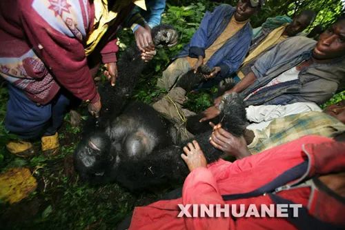 头条|HIV：一个被污名化的疾病，溯源用了三十年