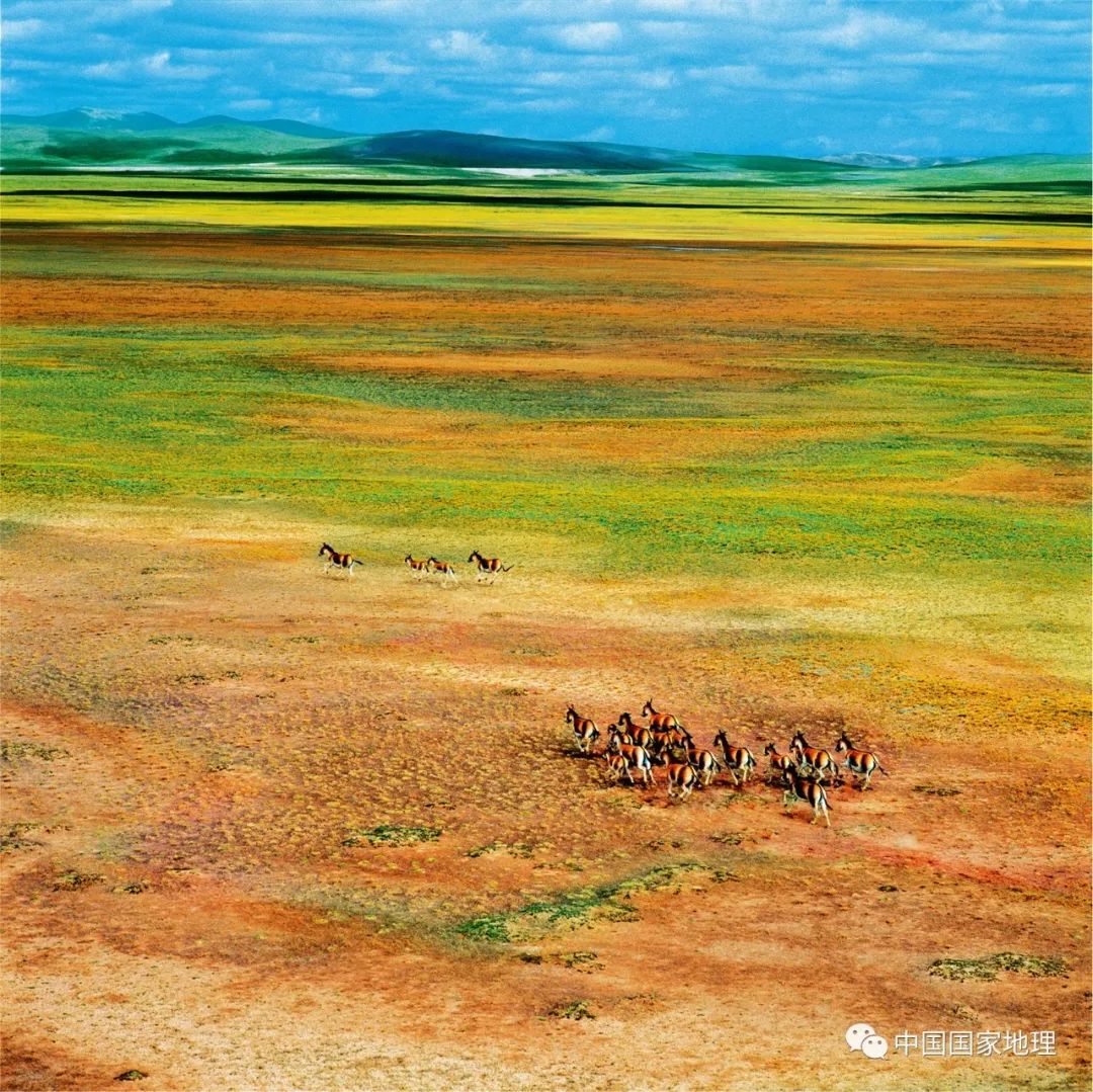 母亲节的地标照片,母亲节最值得去的地方