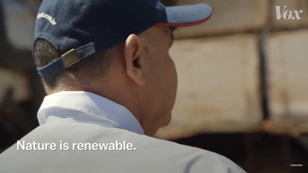 三个月砍掉20个曼哈顿,一年砍掉一个国家,亚马逊已经到了最危急的时候