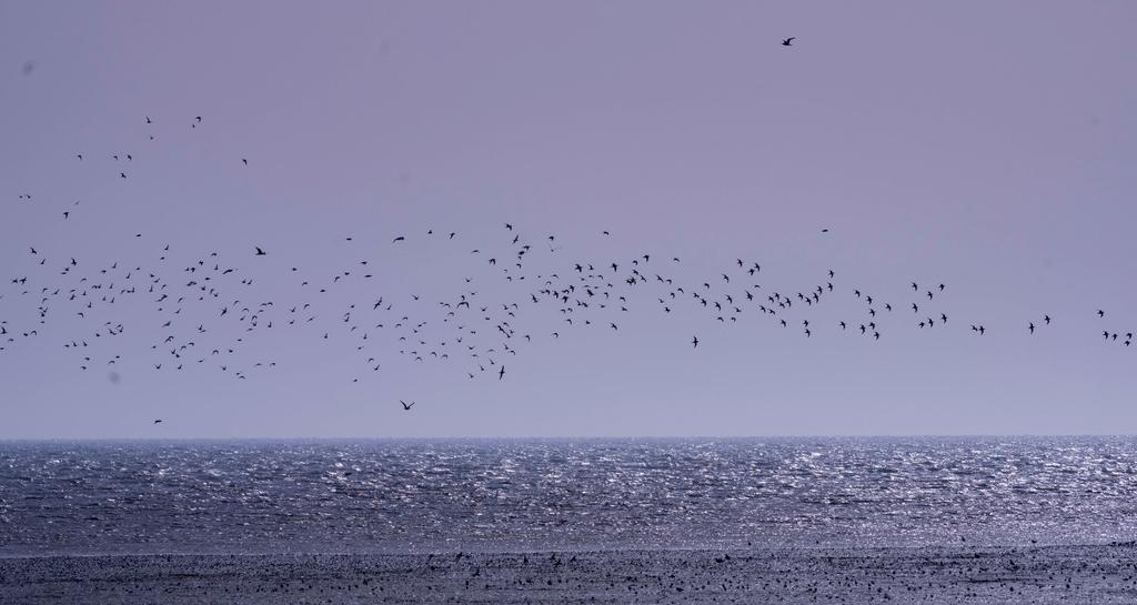 宾得穷人三宝视频,穷人三宝镜头宾得