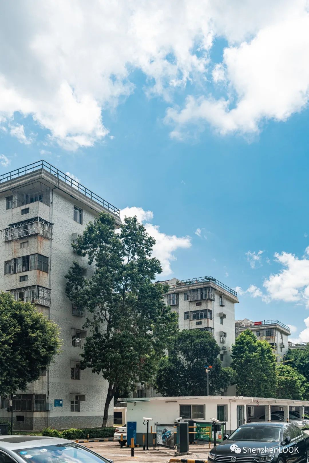 严浩翔说look这是tnt什么舞台,look这是什么牌子的包包