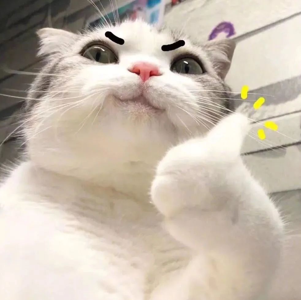 驱蚊安全,室内驱蚊安全最有效