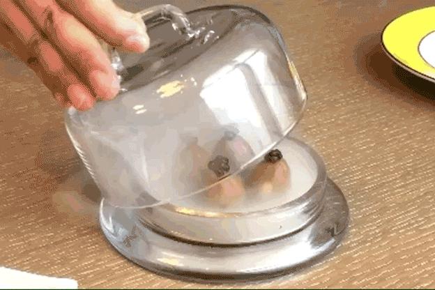 天际酒店宴会厅,天际地标酒店