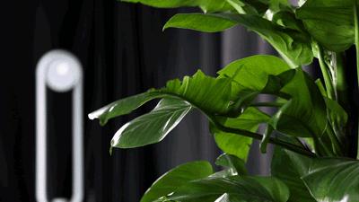 戴森无叶风扇超静音家用,无叶风扇好评