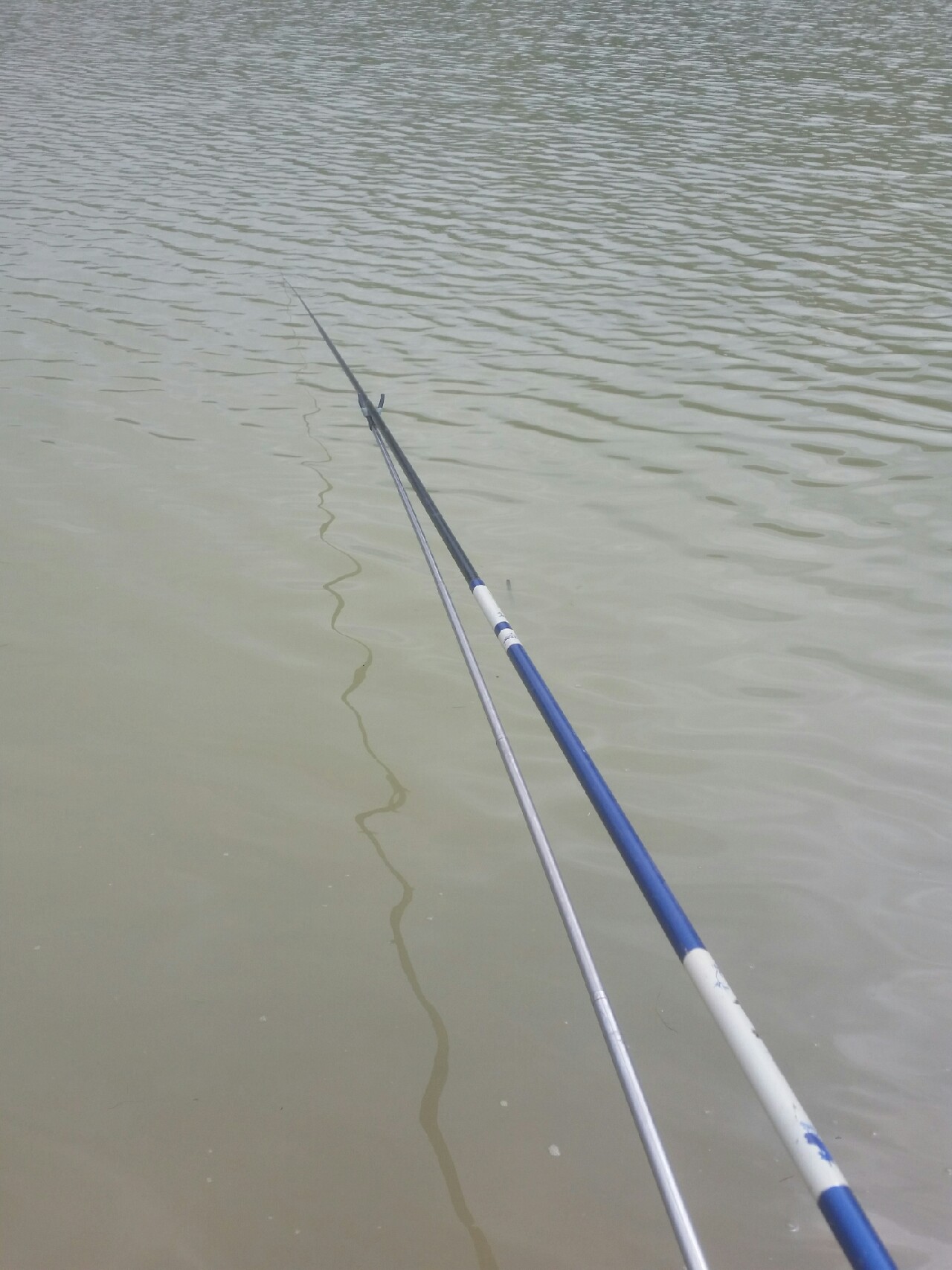 喜欢你！515狂拉不断！探钓永春红五一水库