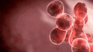 长期补充胶原蛋白的人怎么样了,长期喝胶原蛋白的人最后怎么样了