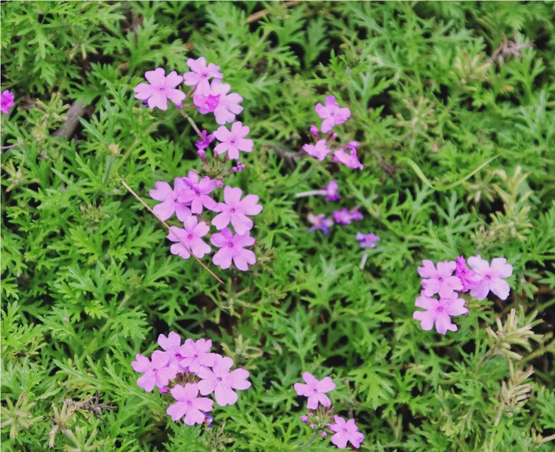 旅拍贵州!邂逅每一帧浪漫风景