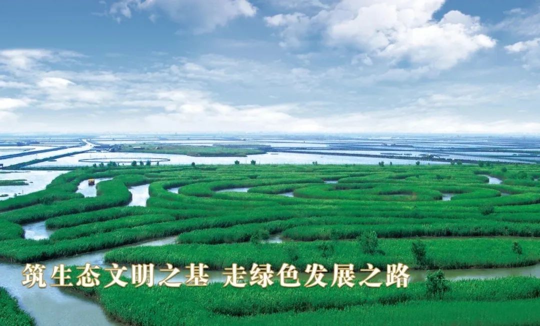 盐城最厉害的勺子,盐城铜勺子