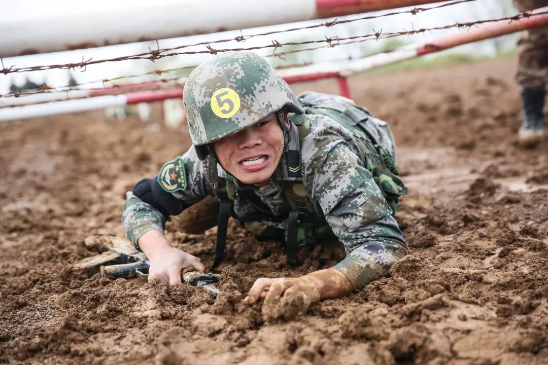 东部战区陆军下辖部队,北部战区陆军四个作战旅团