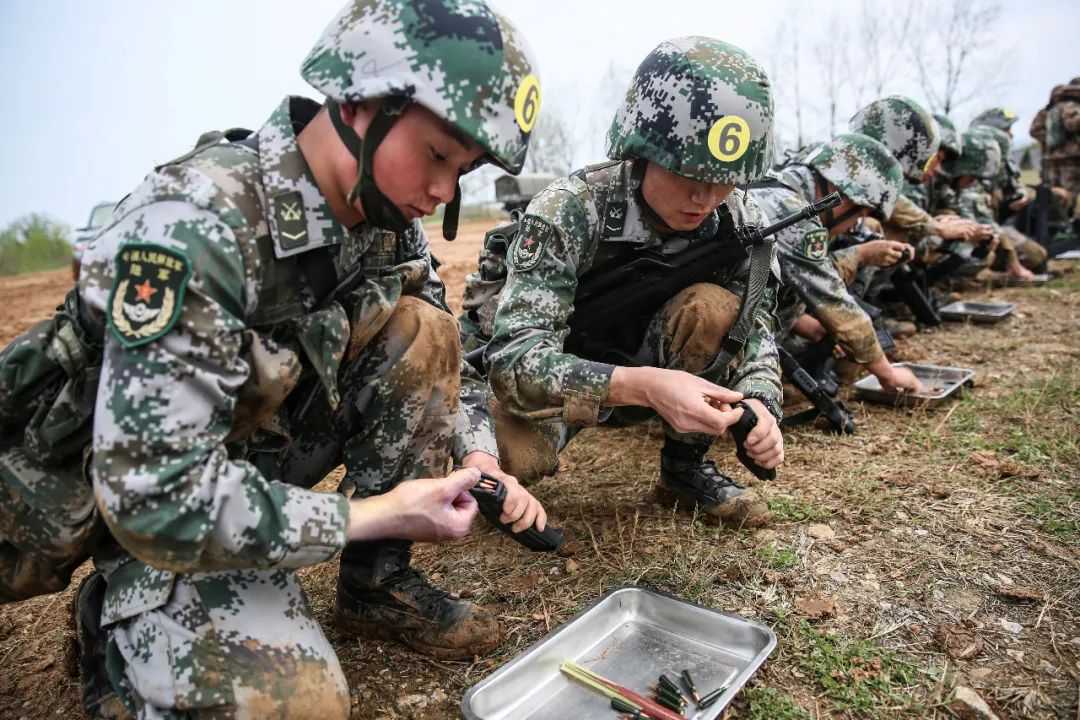 东部战区陆军下辖部队,北部战区陆军四个作战旅团