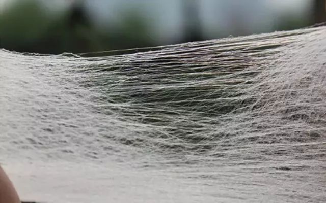 桑蚕丝夏凉被薄款,桑蚕丝被是否冬暖夏凉