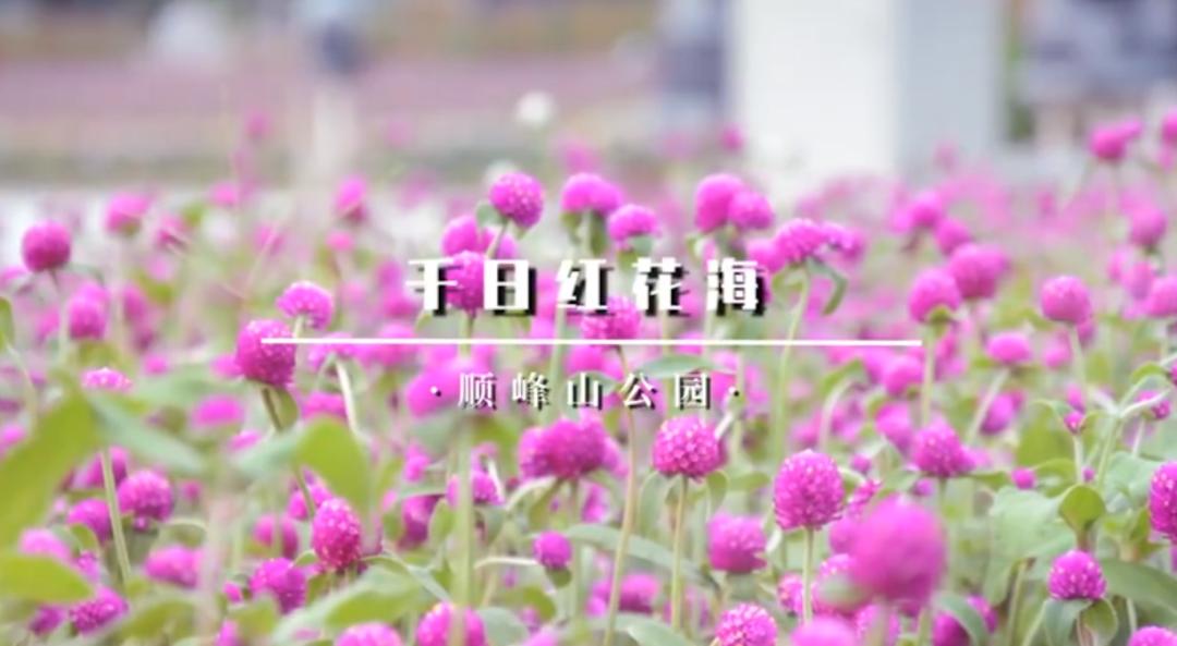 弘扬学习雷锋精神助力疫情防控,弘扬正气抗击疫情