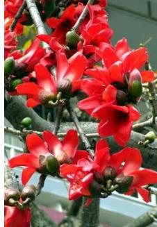 曹小军简介,曹小军公示