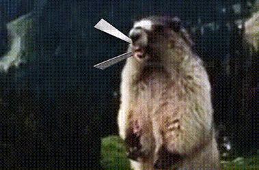 惊悚！锡城近日，蛇出没频繁，遇到它这么办？戳→