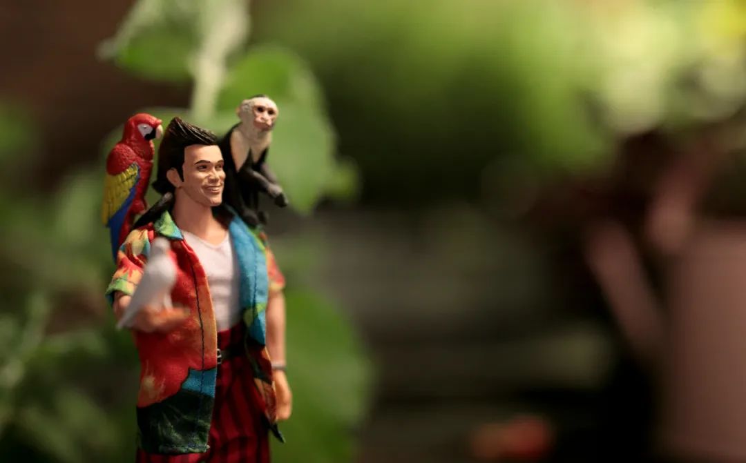 喜剧演员金凯瑞简历,金凯瑞喜剧人