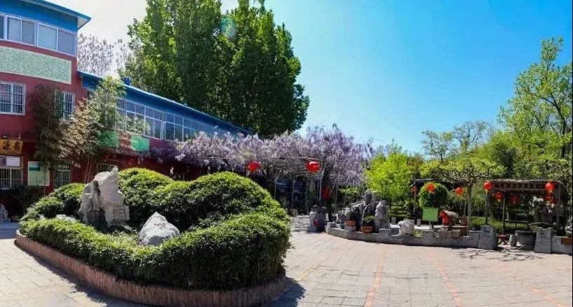 铻嶅獟浣撲腑蹇冧簯鍔╁姏,涓存穭铻嶅獟鐩存挱