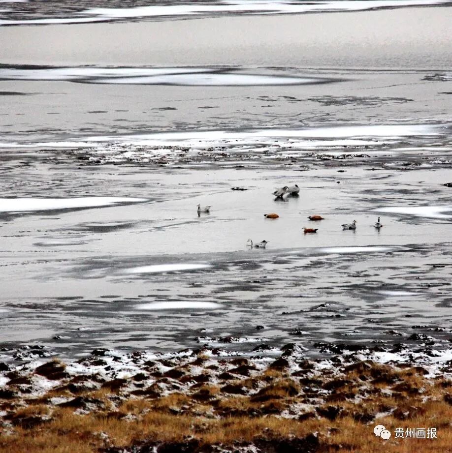 摄影家马金焰|*藏西**之行,一场触及灵魂的洗礼