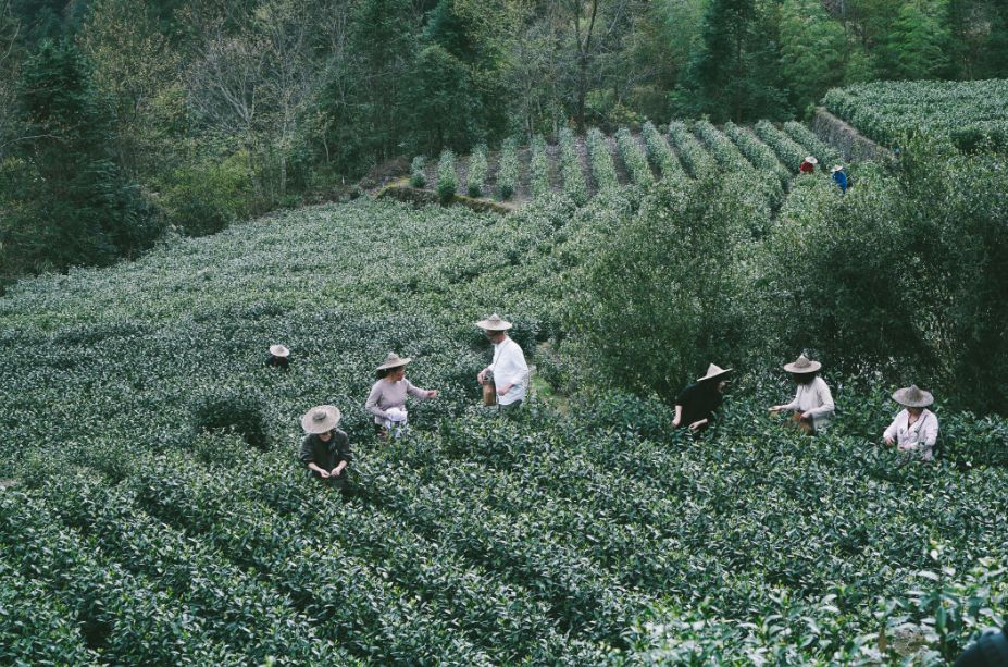 岛屿旅游一价全包,人均300海岛旅游