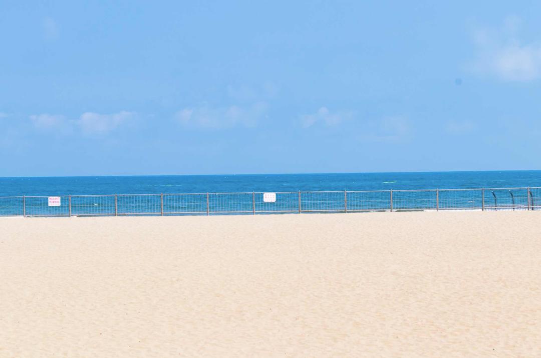 均温20℃的海滨老城，紫色泡桐花美得像国外，现在去性价比超高